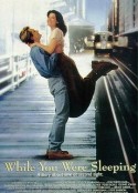 二见钟情 While You Were Sleeping            (1995)