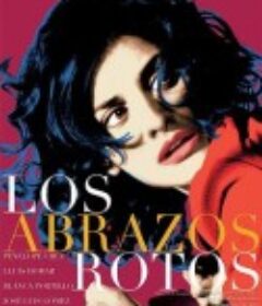 破碎的拥抱 Los abrazos rotos            (2009)