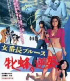 女番长布鲁斯：雌蜂的逆袭 女番長ブルース　牝蜂の逆襲            (1971)