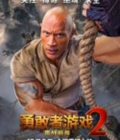 勇敢者游戏2：再战巅峰 Jumanji: The Next Level            (2019)