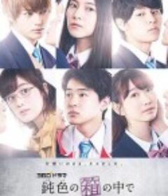 在深灰色的箱子中 鈍色の箱の中で            (2020)