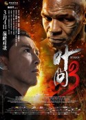 叶问3            (2015)