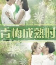 青梅成熟时            (2017)