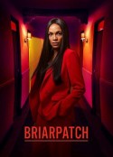 荆棘丛 Briarpatch            (2020)