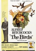 群鸟 The Birds            (1963)