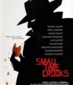 业余小偷 Small Time Crooks            (2000)
