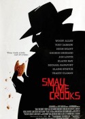 业余小偷 Small Time Crooks            (2000)