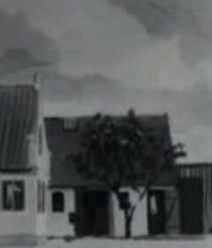 土地来的水 Vandet på landet            (1946)