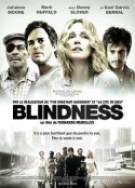 盲流感 Blindness            (2008)