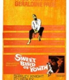 春浓满楼情痴狂 Sweet Bird of Youth            (1962)