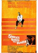 春浓满楼情痴狂 Sweet Bird of Youth            (1962)