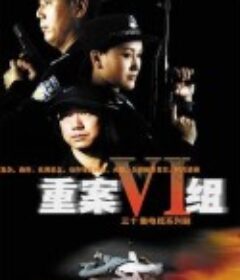 重案六组            (2001)