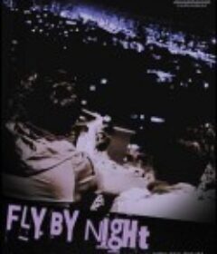 夜间飞行 야간비행            (2011)