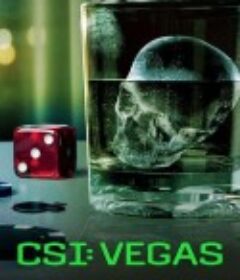 犯罪现场调查：维加斯 第三季 CSI: Vegas Season 3            (2024)