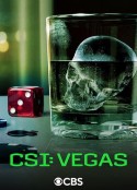 犯罪现场调查：维加斯 第三季 CSI: Vegas Season 3            (2024)