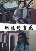 燃烧的雪花            (1993)