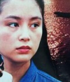 远山情            (1992)