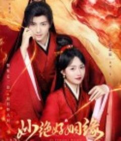 妙绝好姻缘            (2024)