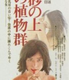 沙上的植物群 砂の上の植物群            (1964)