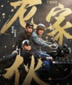 老家伙            (2024)