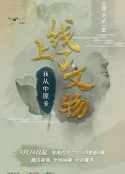 上线了文物 第一季            (2020)