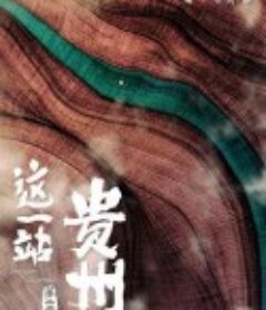 这一站，贵州 第二季            (2023)