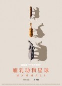 哺乳动物星球 Mammals            (2024)