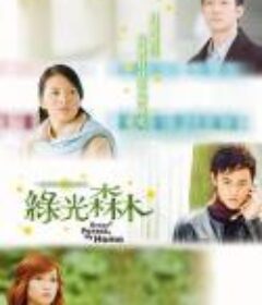 绿光森林            (2005)