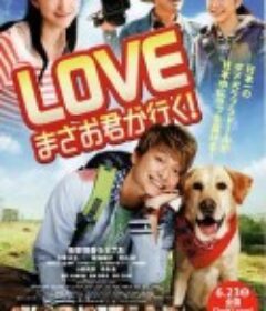 爱犬正雄向前冲！ LOVE まさお君が行く！            (2012)