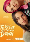 刨根问底 Turtles All The Way Down            (2024)