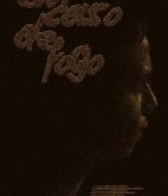 可能的山火 Em Caso de Fogo            (2019)