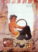 火焰山来的鼓手            (1991)