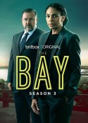 迷失海湾 第三季 The Bay Season 3            (2022)