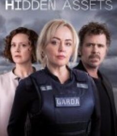 神秘资产 Hidden Assets            (2021)