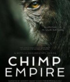 黑猩猩帝国 Chimp Empire            (2023)