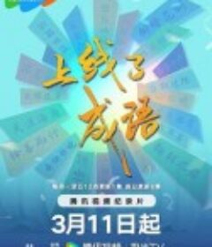 上线了成语            (2024)