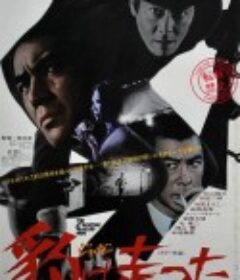 豹跑 豹は走った            (1970)