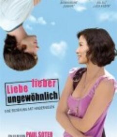 小心侦探 Watching the Detectives            (2007)