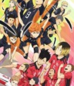 排球少年剧场版：结束与开始 劇場版 ハイキュー!! 終わりと始まり            (2015)