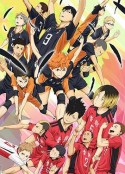 排球少年剧场版：结束与开始 劇場版 ハイキュー!! 終わりと始まり            (2015)