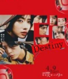 命运 Destiny            (2024)