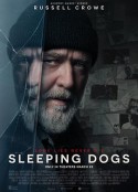 沉睡烈犬 Sleeping Dogs            (2024)