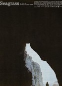 海草 Seagrass            (2023)