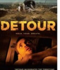 迂回 Detour            (2013)