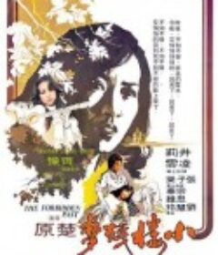 小楼残梦 小樓殘夢            (1979)