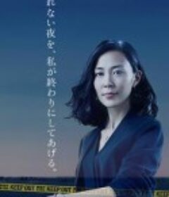 警视厅继续搜查班 警視庁継続捜査班            (2010)