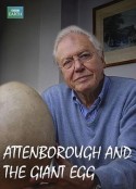 爱登堡与巨蛋 Attenborough and the Giant Egg            (2011)