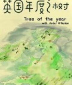 英国年度之树 Tree of the year with Ardal O'Hanlon            (2016)