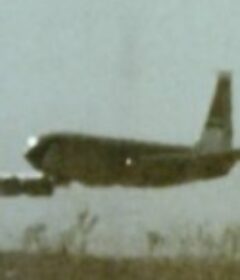 我躲过了一次致命的飞行 I Survived a Fatal Flight            (2013)