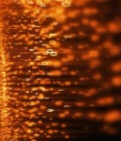 地平线：击退黑客 Horizon: Defeating the Hackers            (2013)